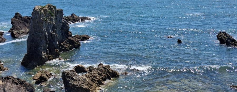 Le littoral du Pouliguen et de ses environs n'a pas laissé indifférents les franchisés et responsables d'agence Free Dom pendant la convention Zephyr 2025