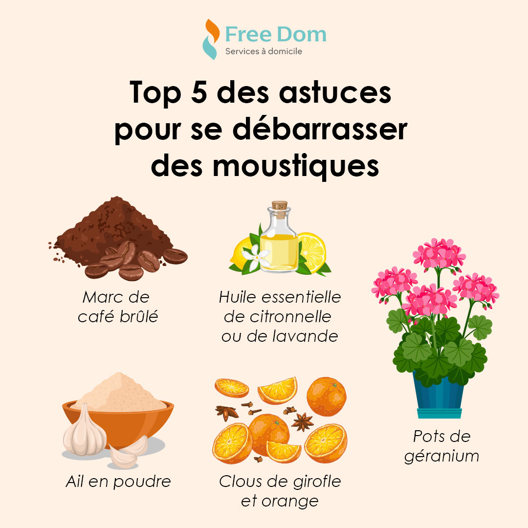 Nos meilleures astuces pour lutter contre les moustiques à la maison pendant l'été