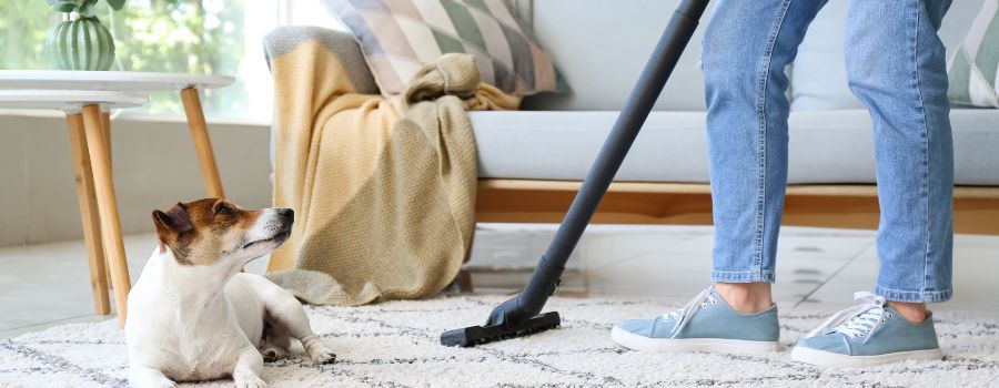 Astuces pour nettoyer un tapis